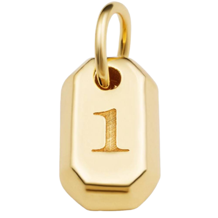 Büyük Yaşam Sayısı 1