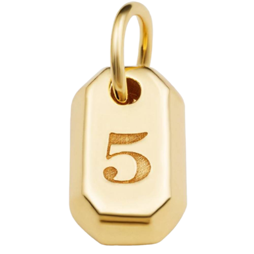 Büyük Yaşam Sayısı 5