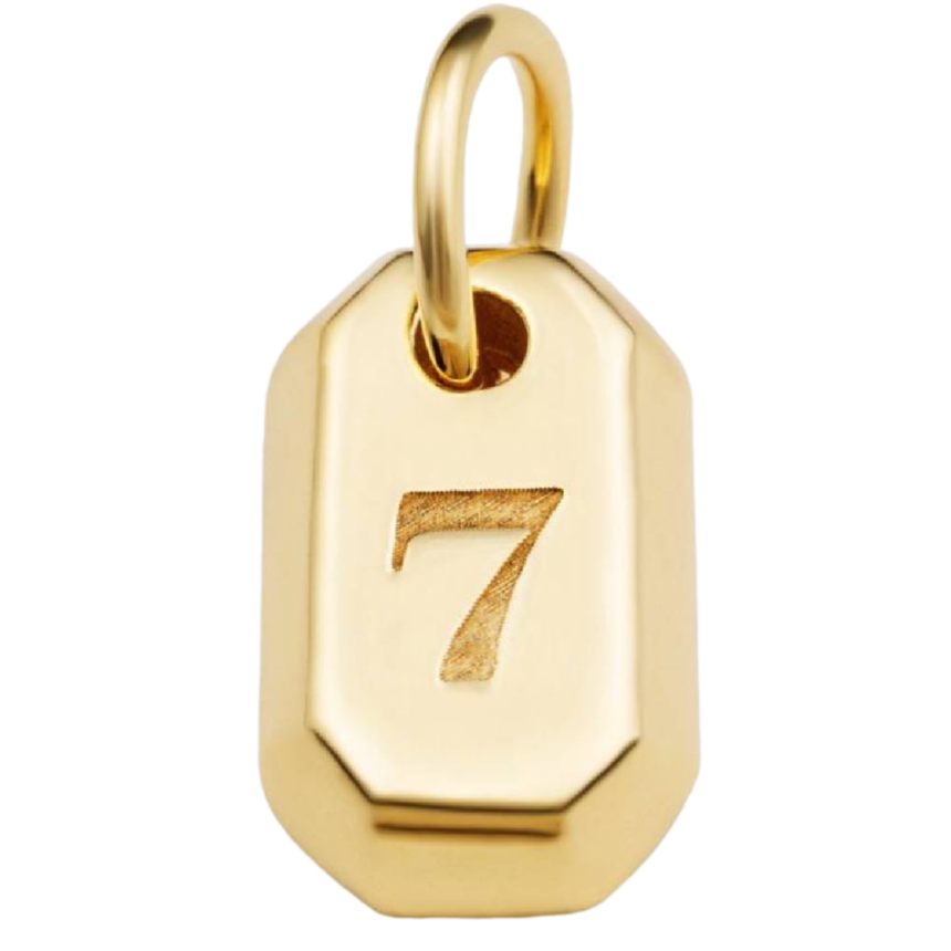 Büyük Yaşam Sayısı 7