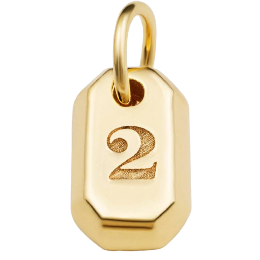 Büyük Yaşam Sayısı 2