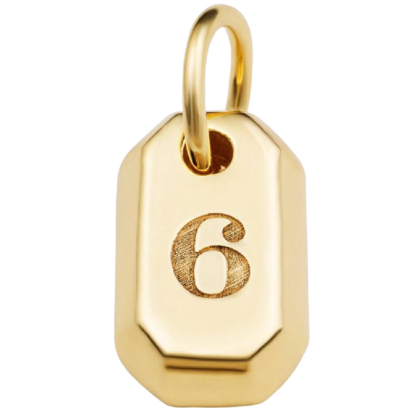 Büyük Yaşam Sayısı 6