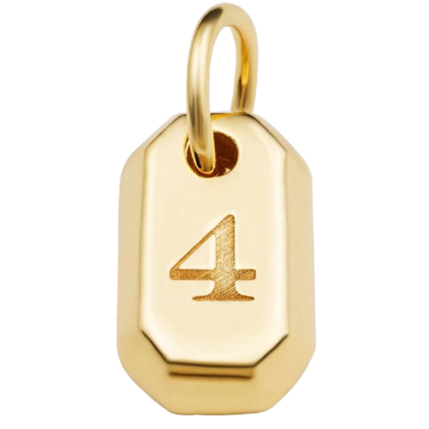 Büyük Yaşam Sayısı 4